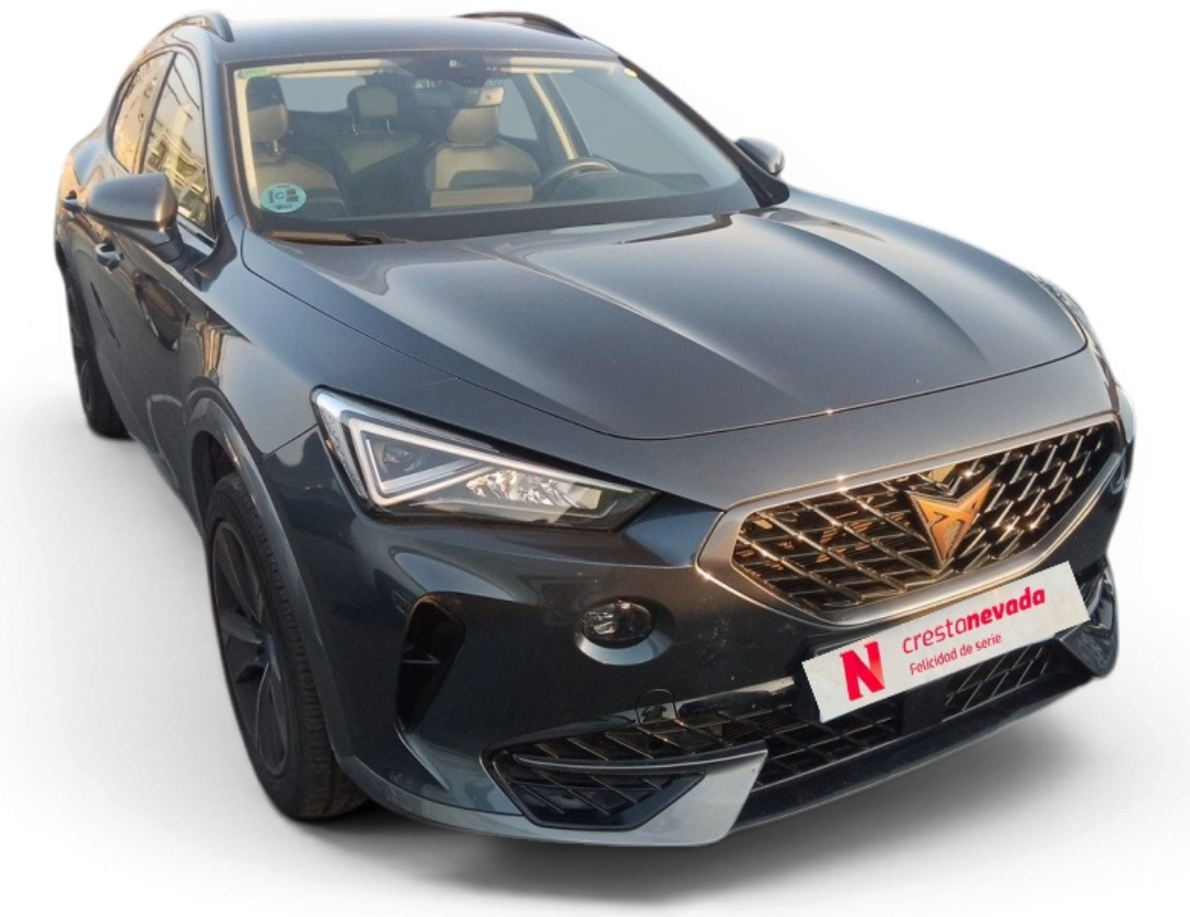 Imagen de cupra Formentor