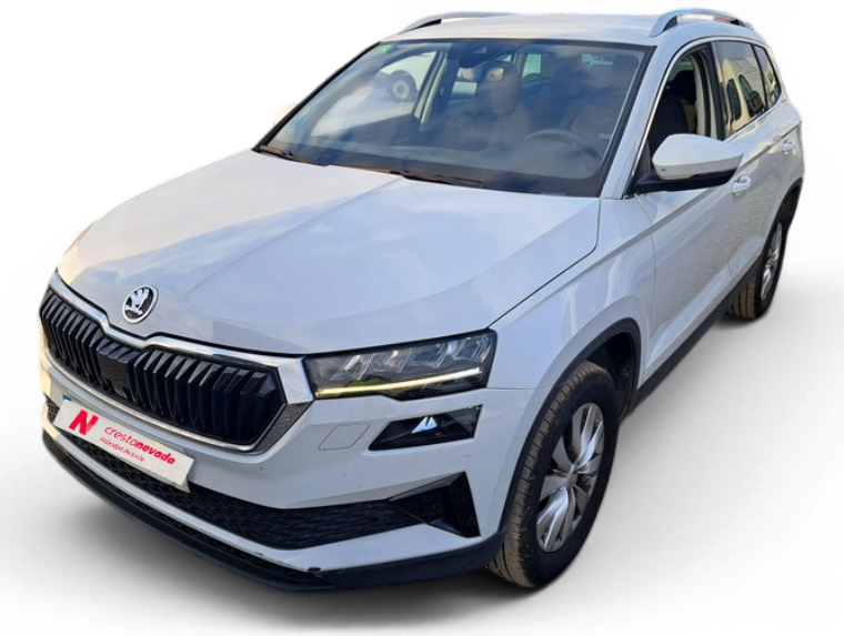 Imagen de Skoda Karoq