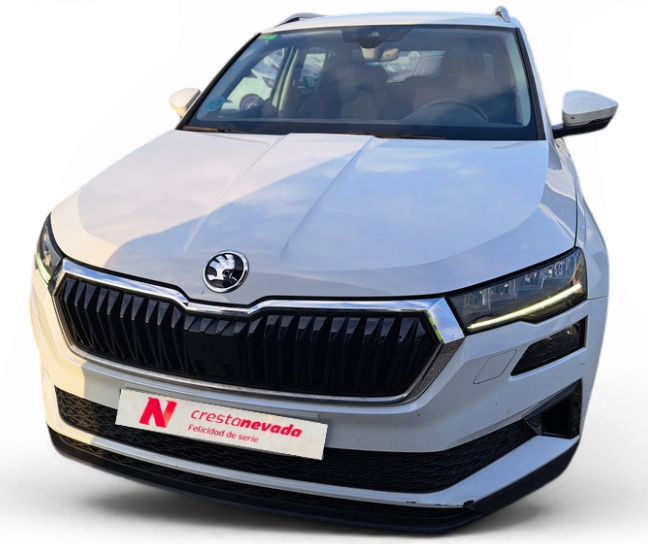 Imagen de Skoda Karoq