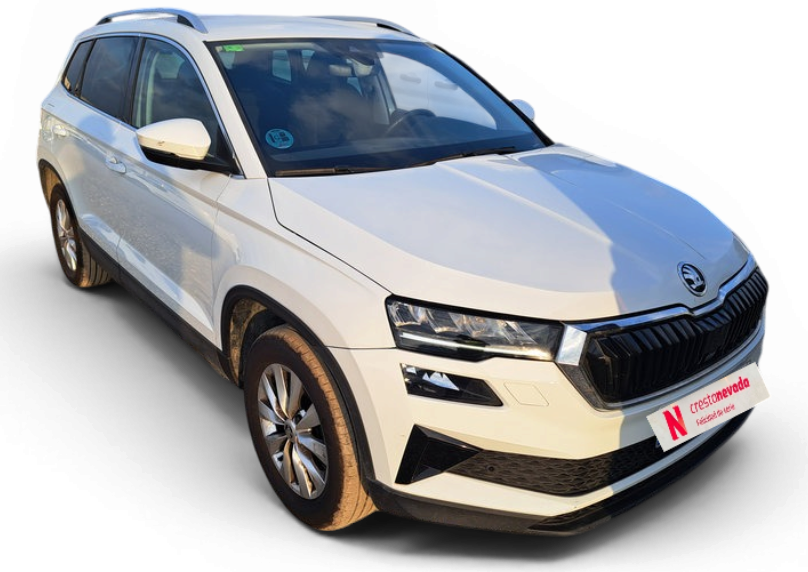 Imagen de Skoda Karoq
