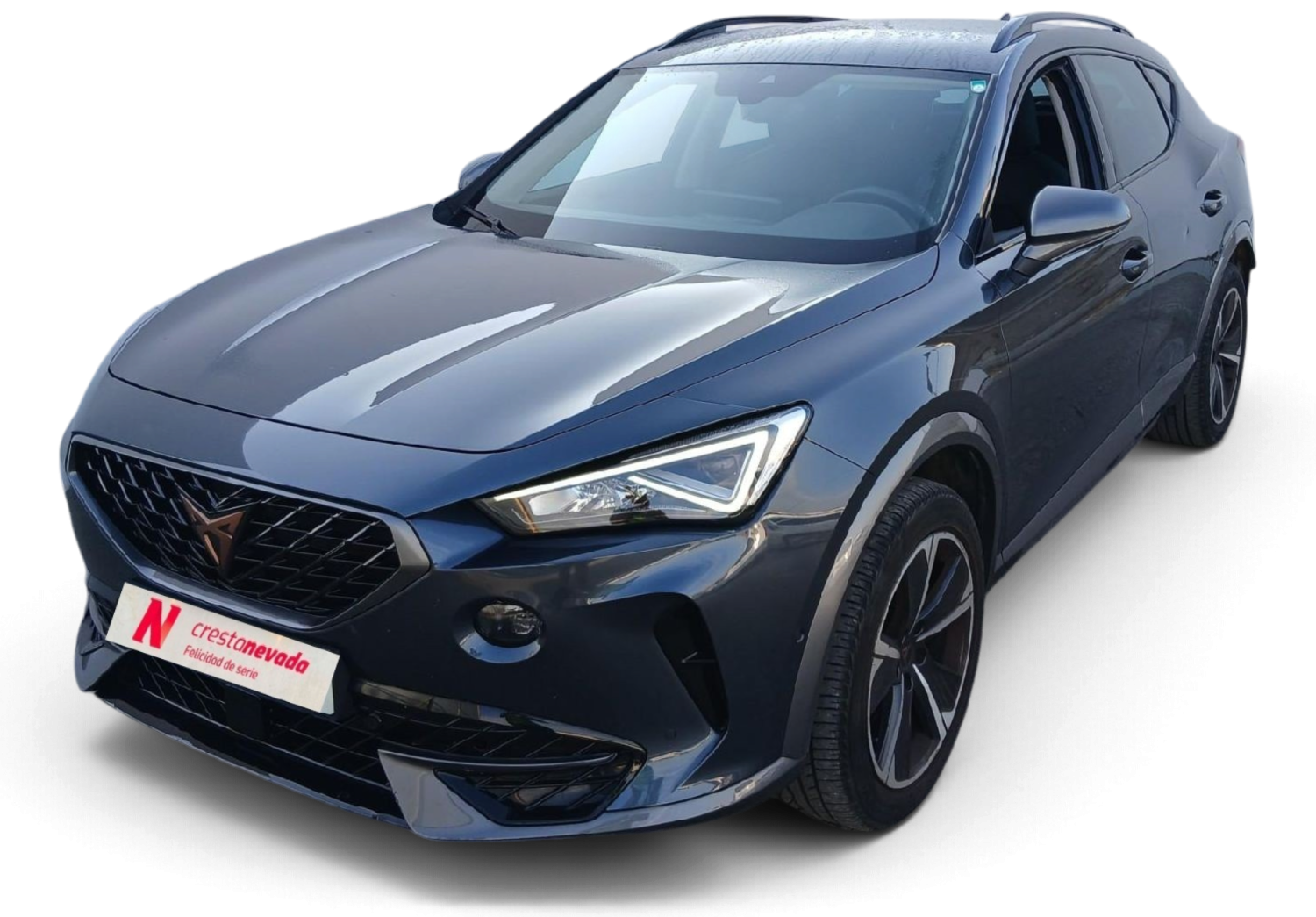cupra Formentor Gasolina 150 CV