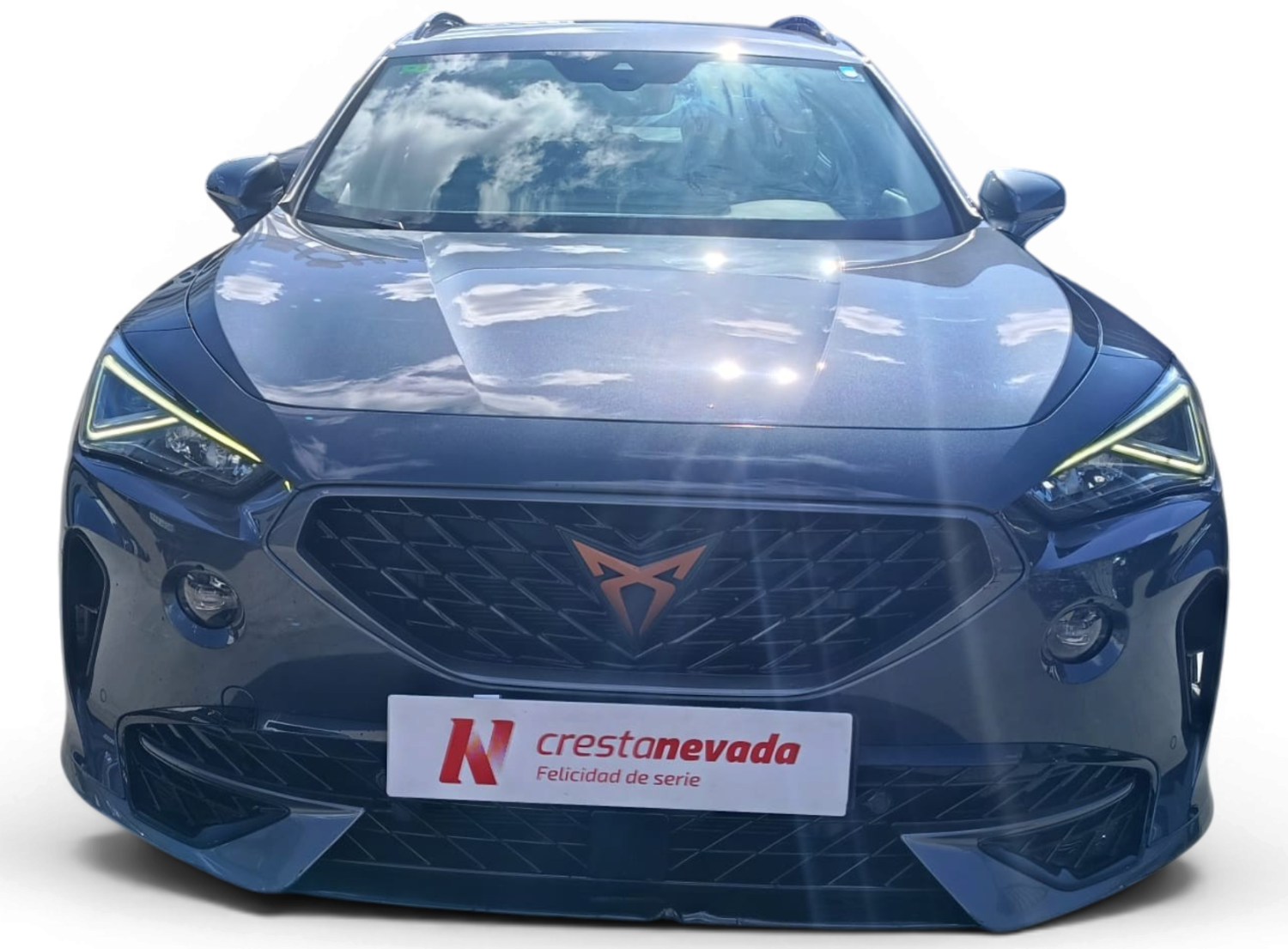 Imagen 2 de cupra Formentor Gasolina 150 CV