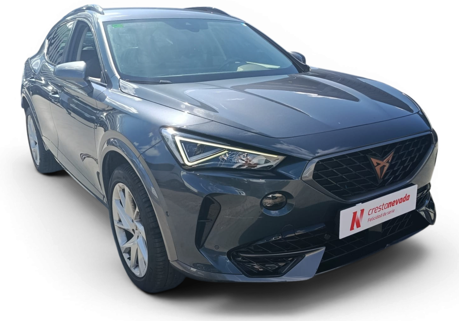 Imagen 3 de cupra Formentor Gasolina 150 CV
