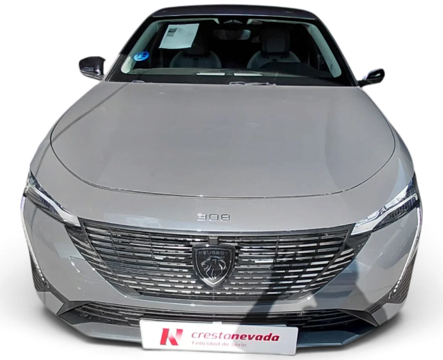 Imagen de Peugeot 308