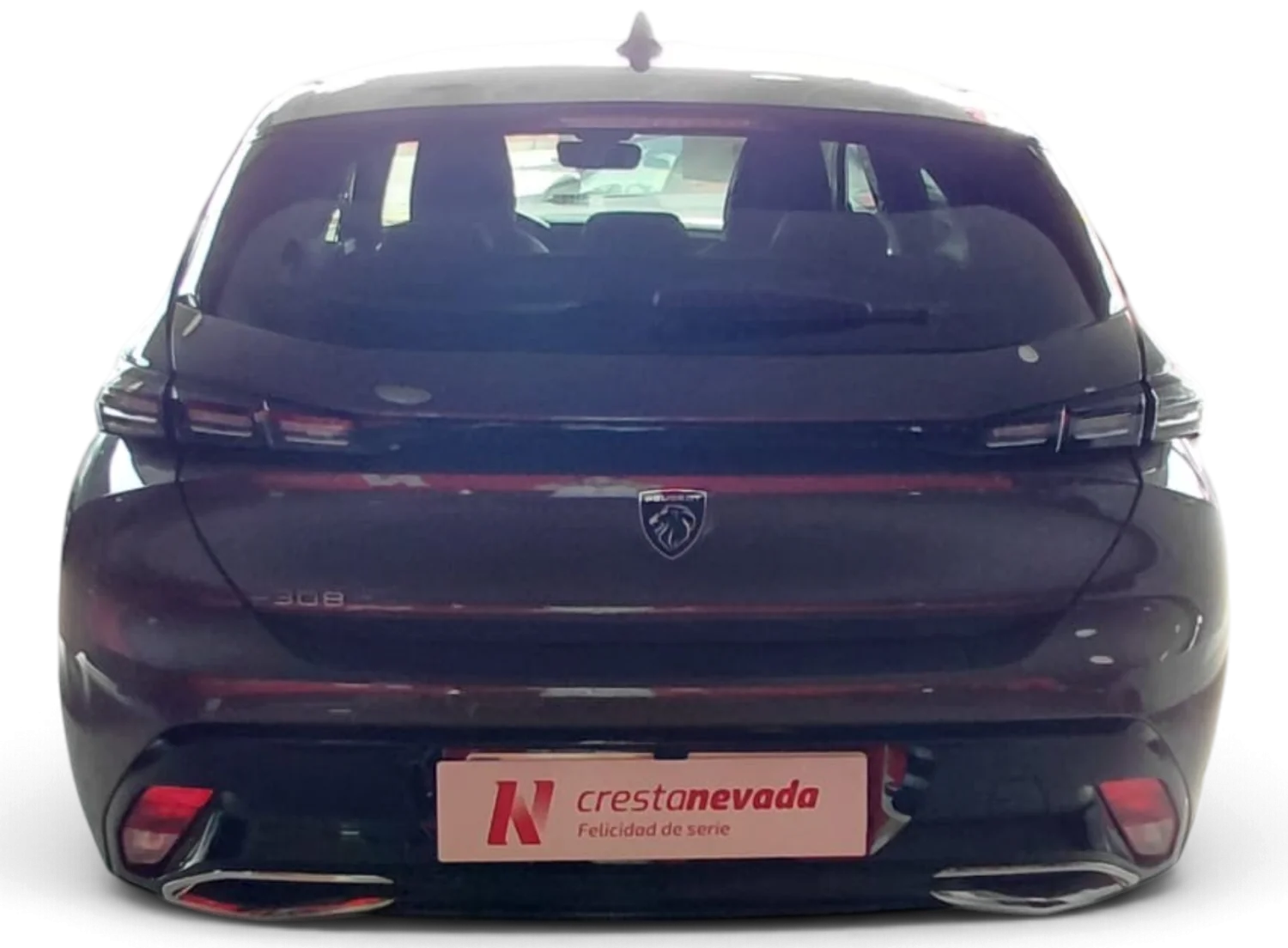 Imagen de Peugeot 308
