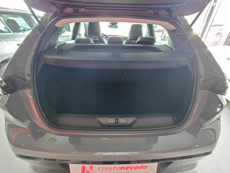 Imagen de Peugeot 308