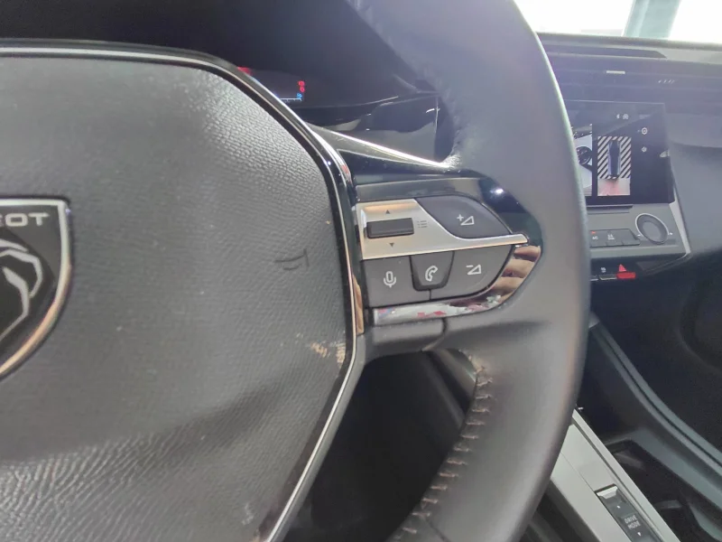 Imagen de Peugeot 308