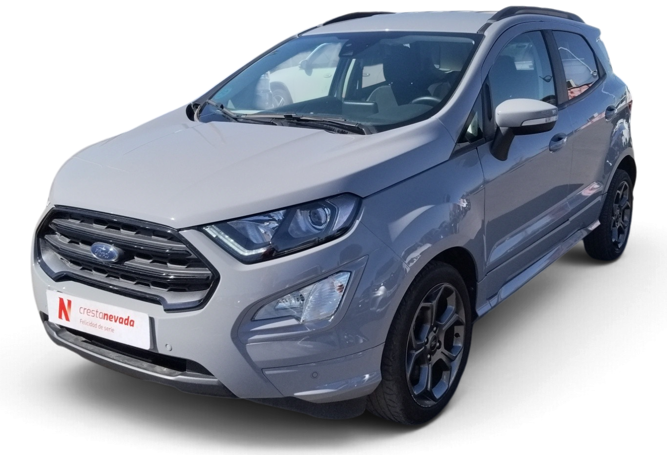 Ford EcoSport Gasolina 125 CV por 14.990 €
