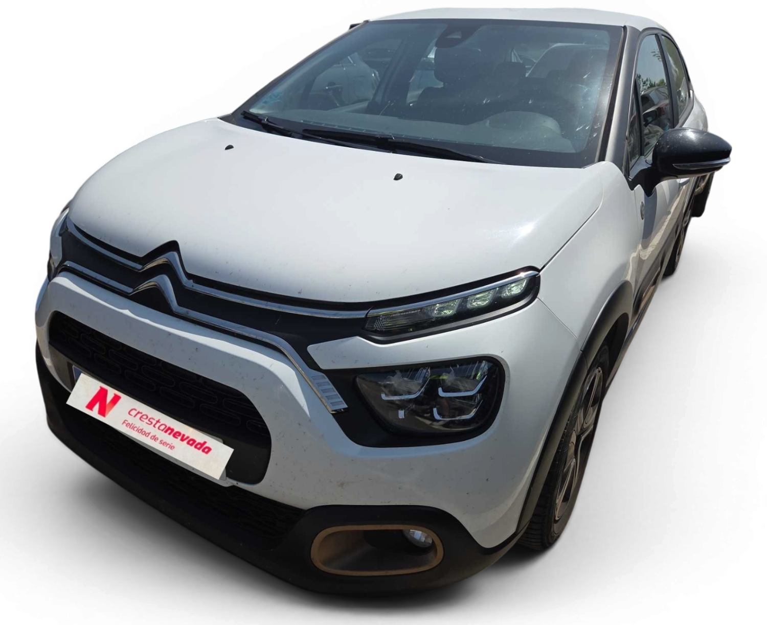 CITROEN C3 Diesel 102 CV por 13.990 €