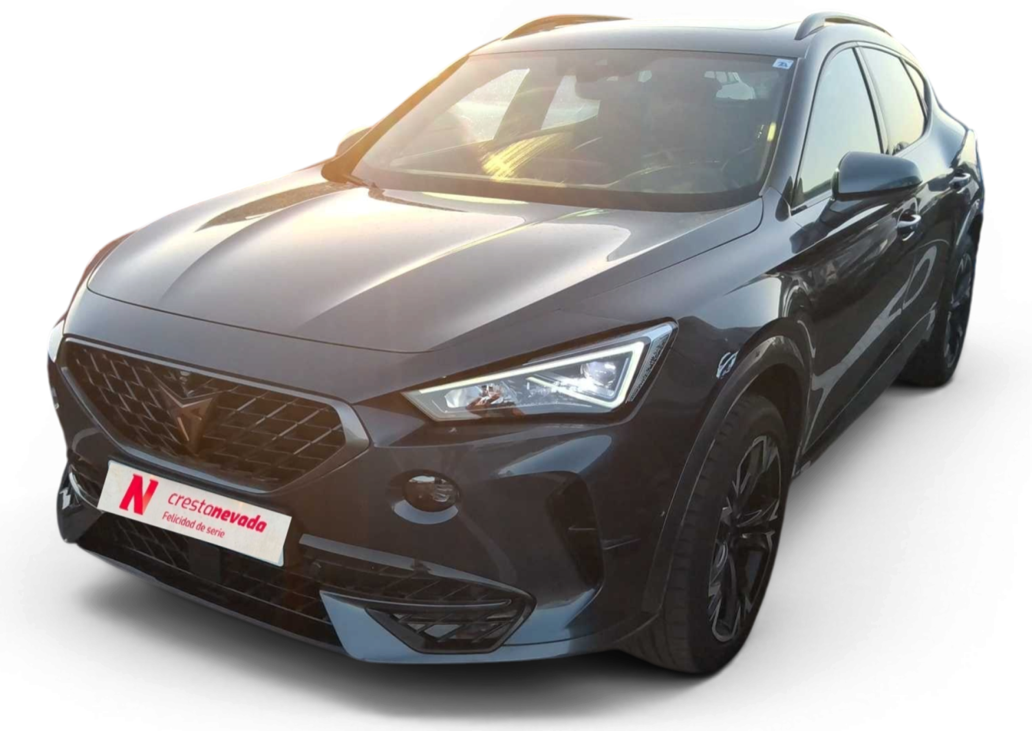cupra Formentor Gasolina 150 CV por 26.990 €