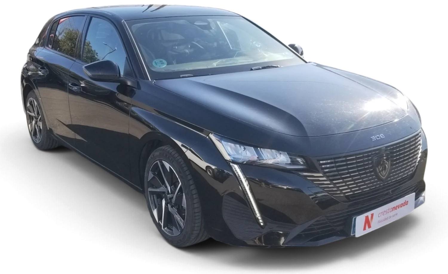 Imagen de Peugeot 308