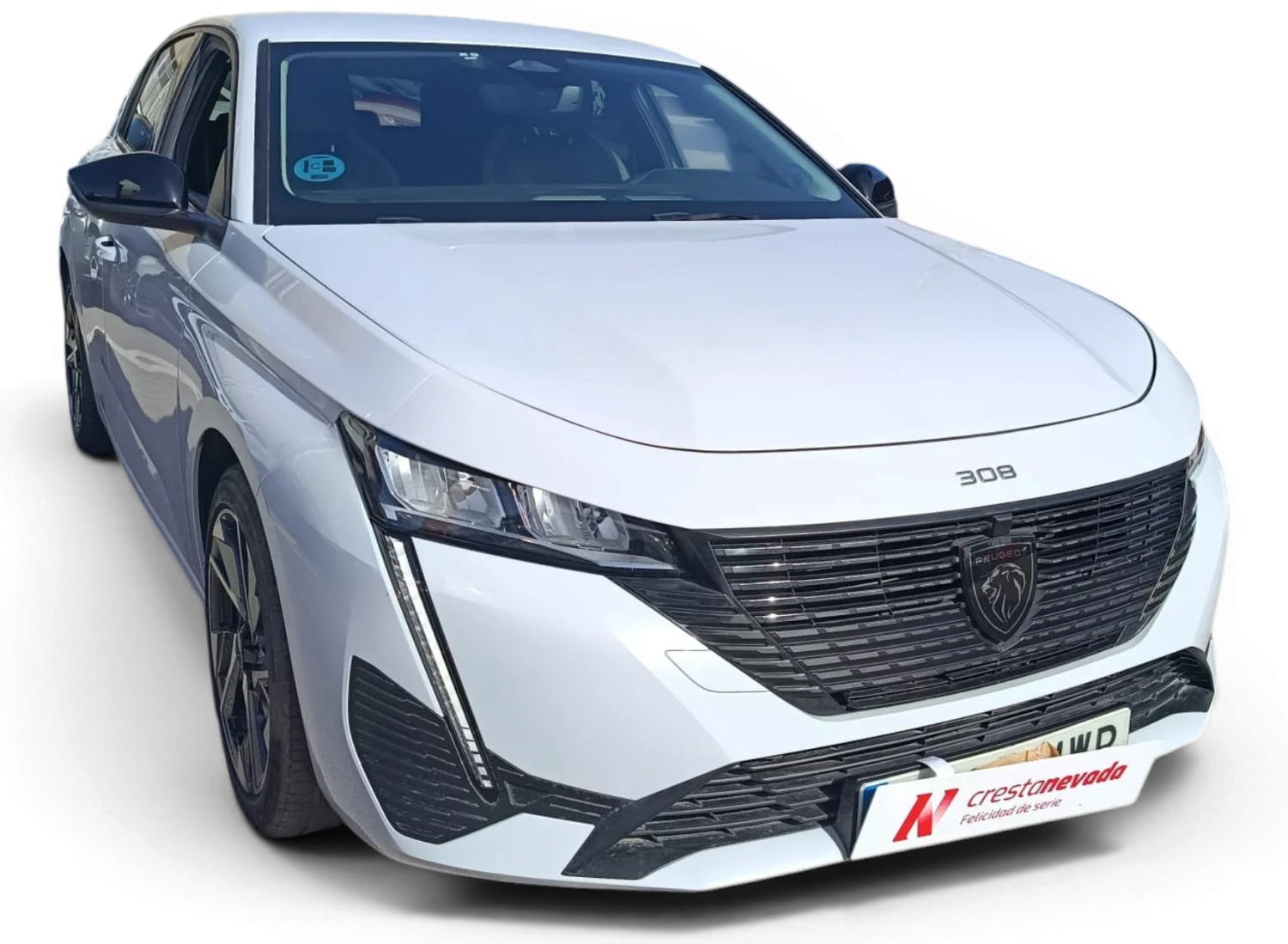 Imagen de Peugeot 308