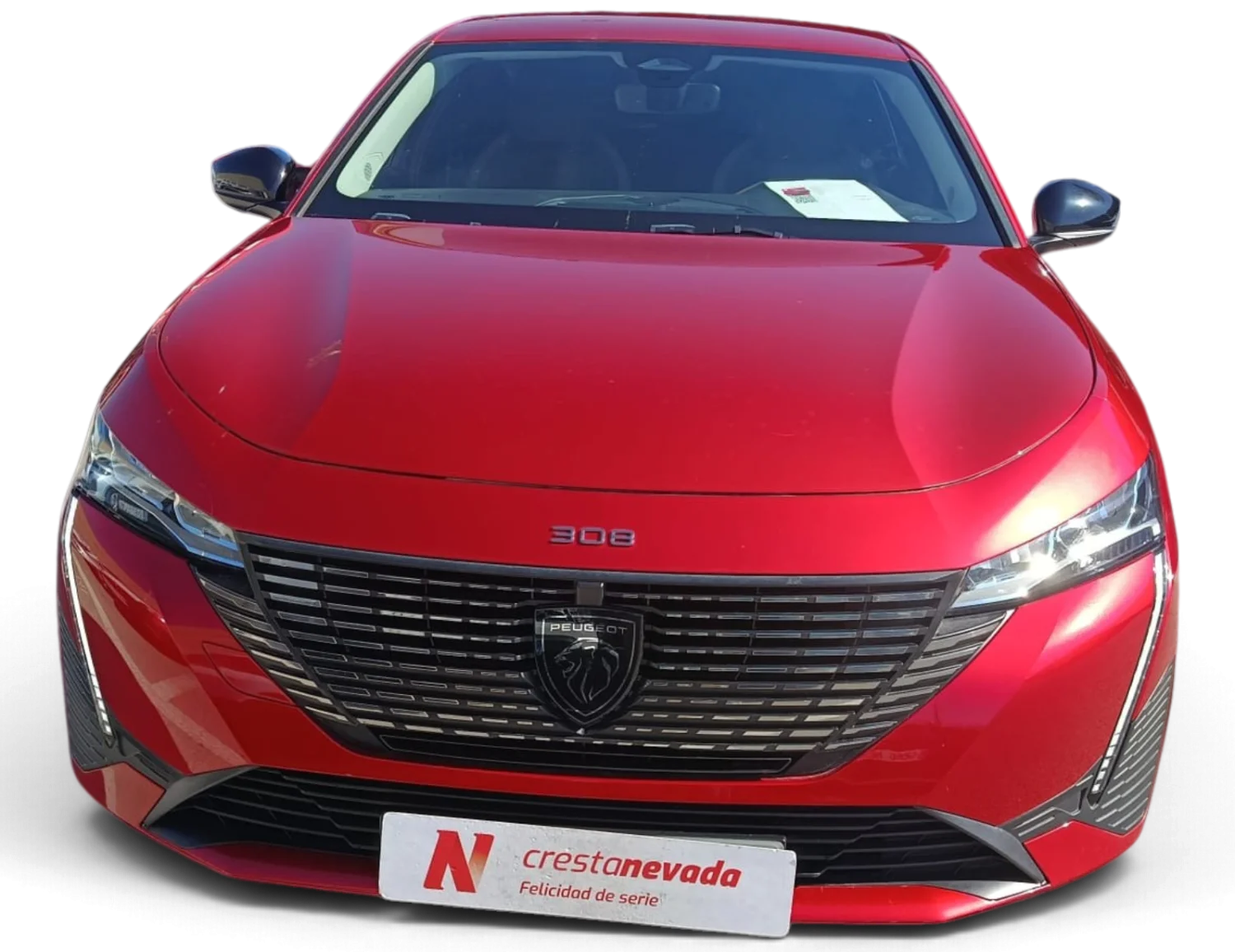 Imagen de Peugeot 308