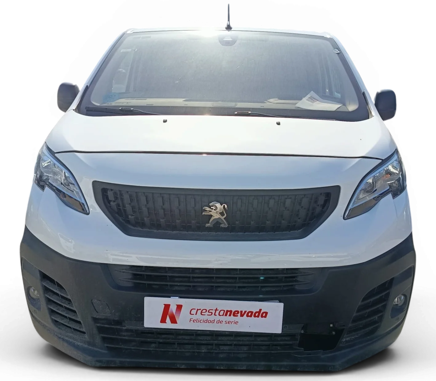 Imagen de Peugeot Expert