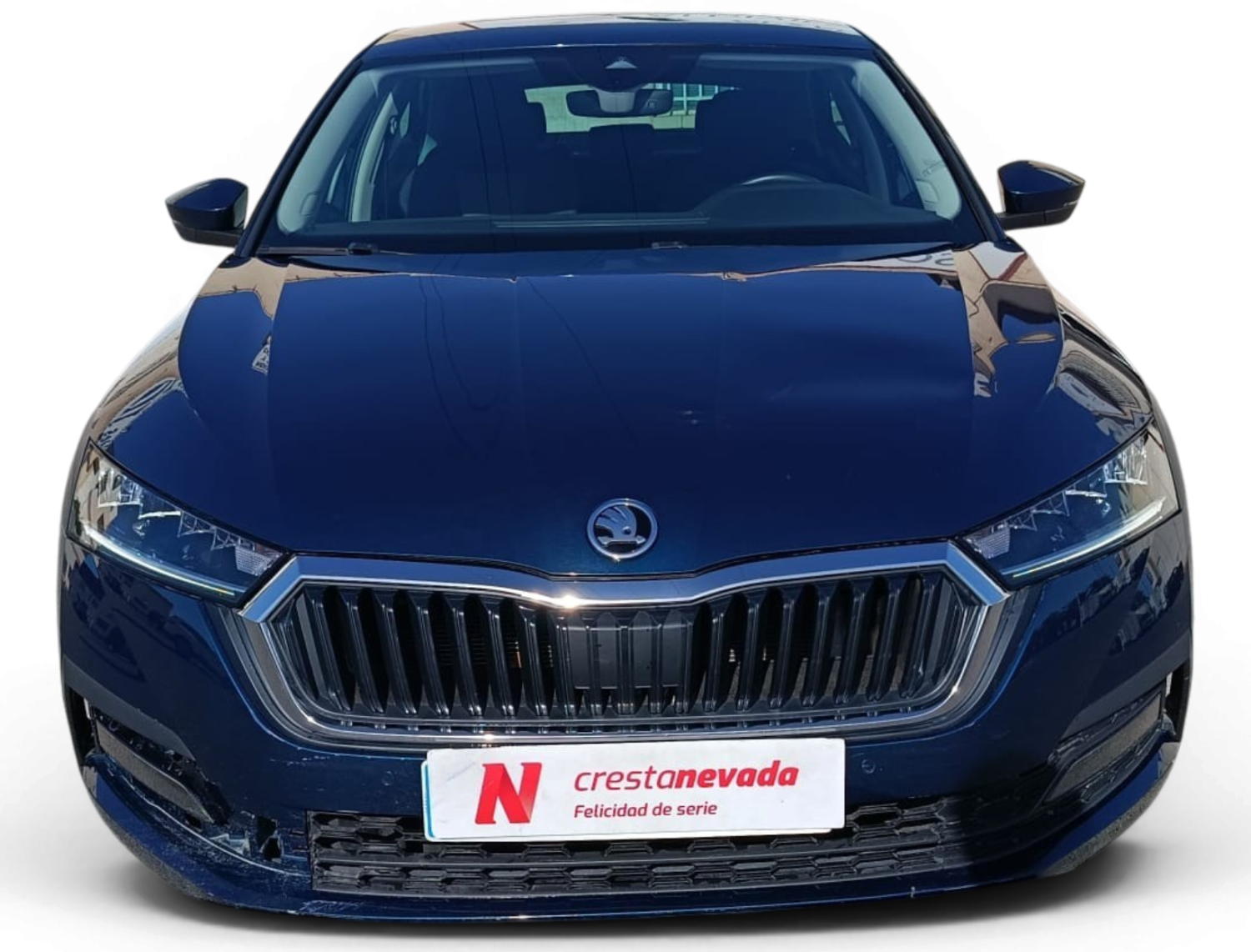 Imagen 2 de Skoda Octavia Diesel 116 CV por 19.990 €