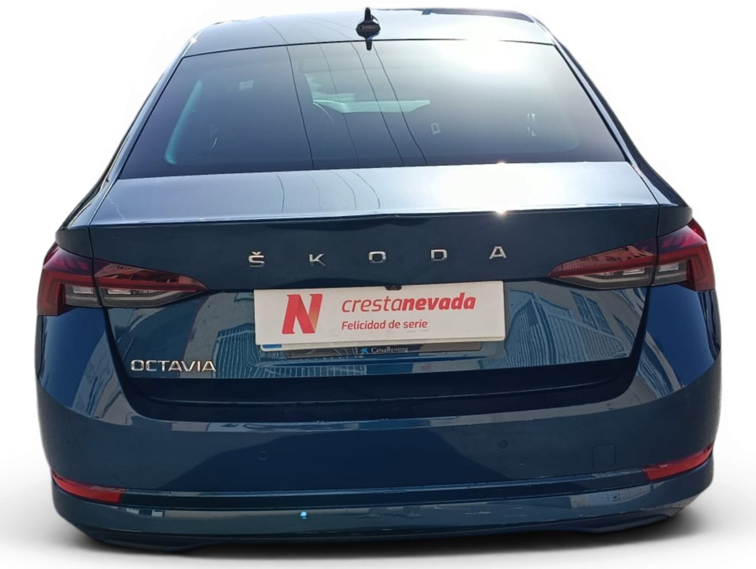 Imagen 6 de Skoda Octavia Diesel 116 CV por 19.990 €