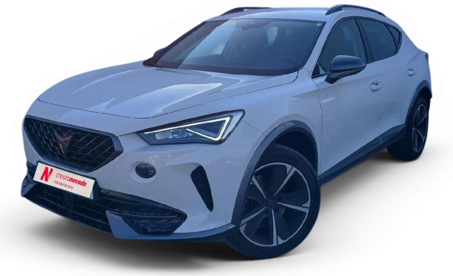 cupra Formentor Gasolina 150 CV por 21.990 €