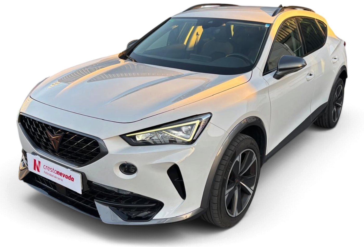 cupra Formentor Gasolina 150 CV por 21.990 €