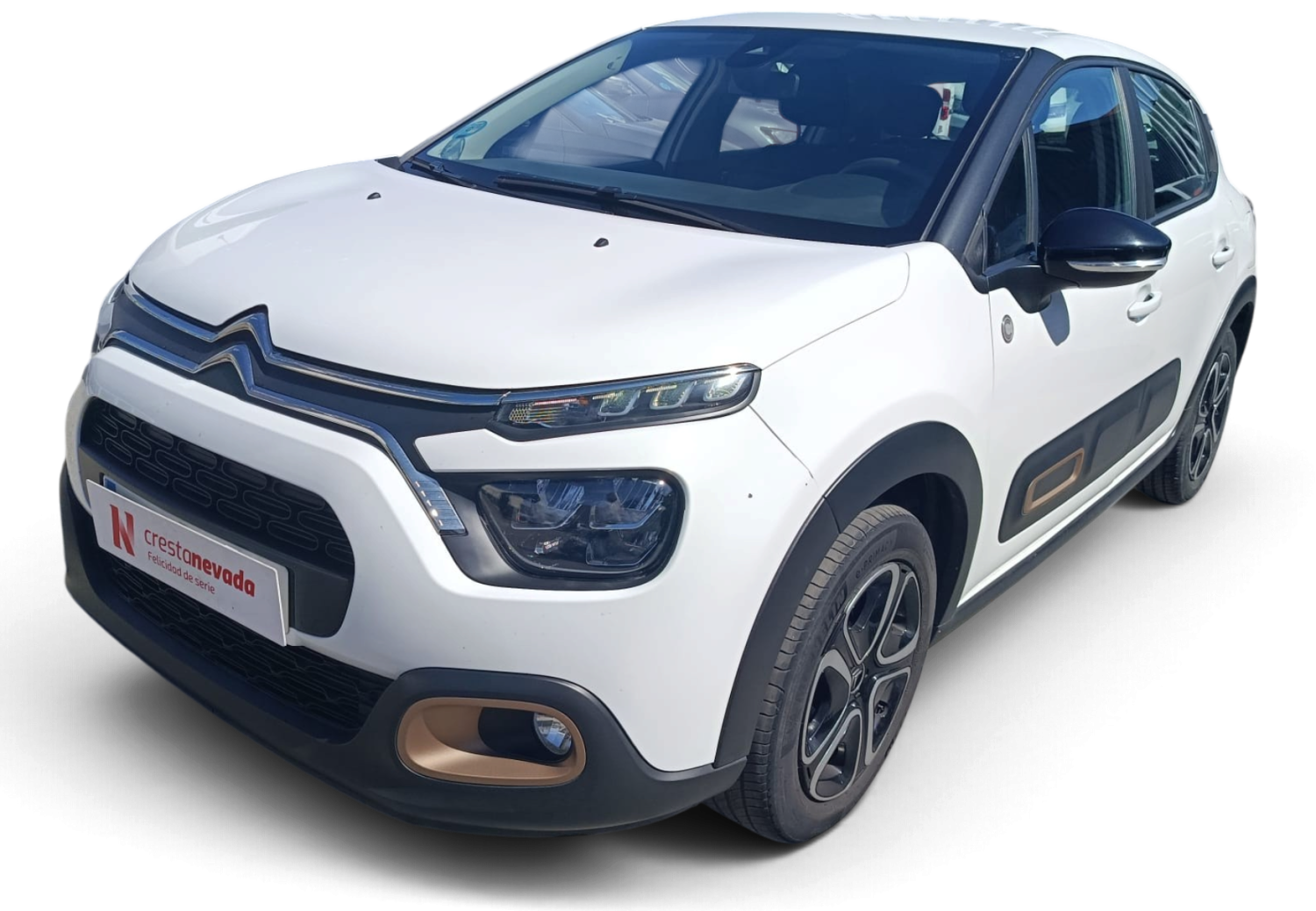 CITROEN C3 Diesel 102 CV por 13.990 €