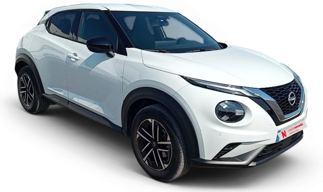 Imagen de NISSAN JUKE
