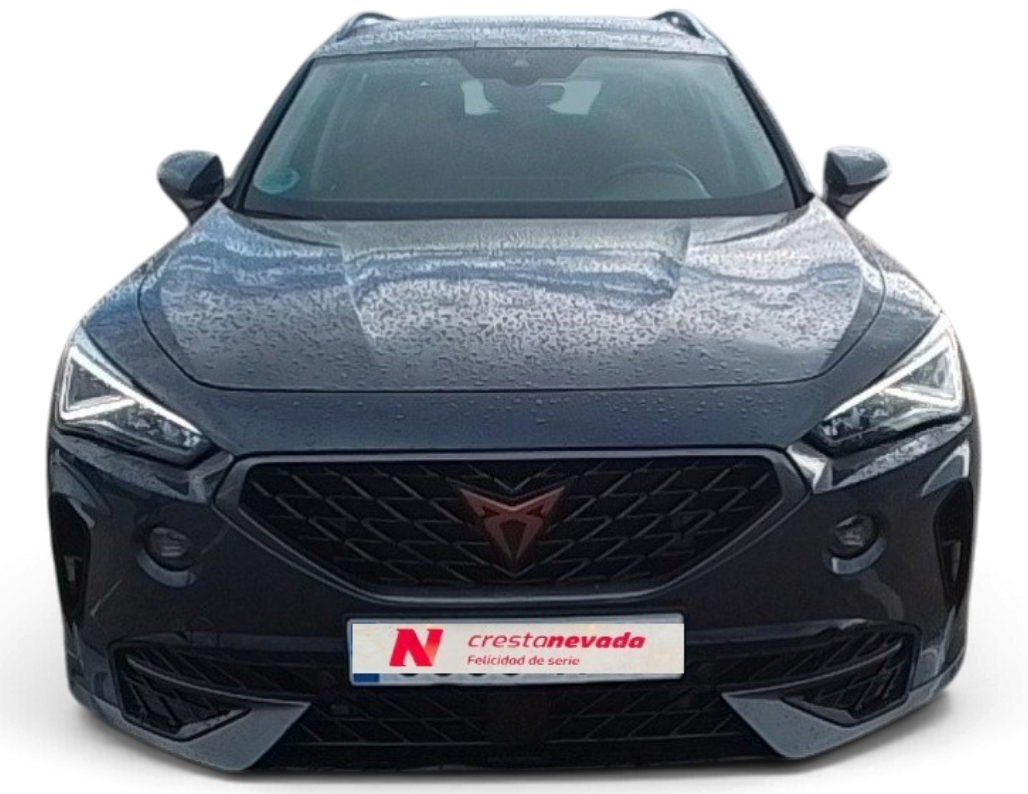 Imagen 3 de cupra Formentor Diesel 150 CV por 21.790 €