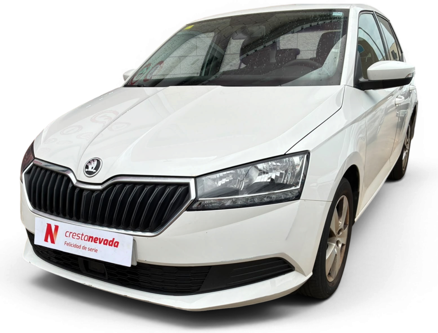 Skoda Fabia Gasolina 95 CV por 10.990 €
