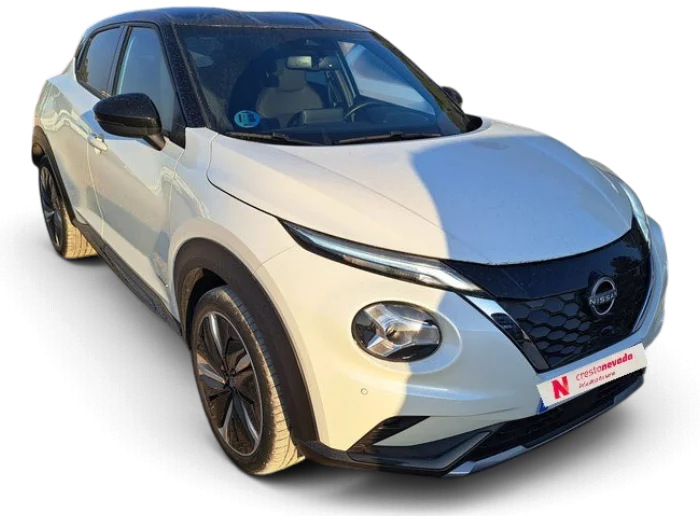 Imagen de NISSAN JUKE