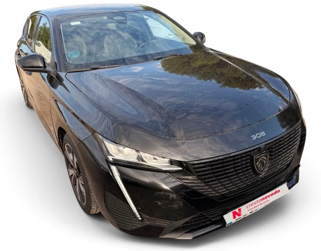 Imagen de Peugeot 308