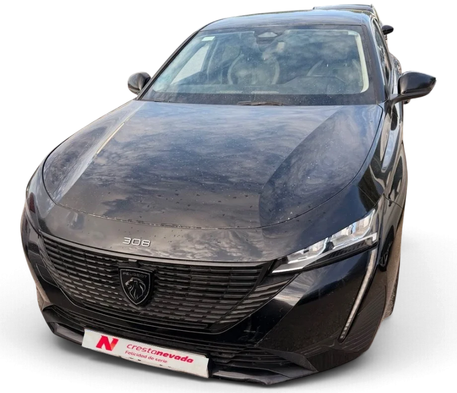 Imagen de Peugeot 308