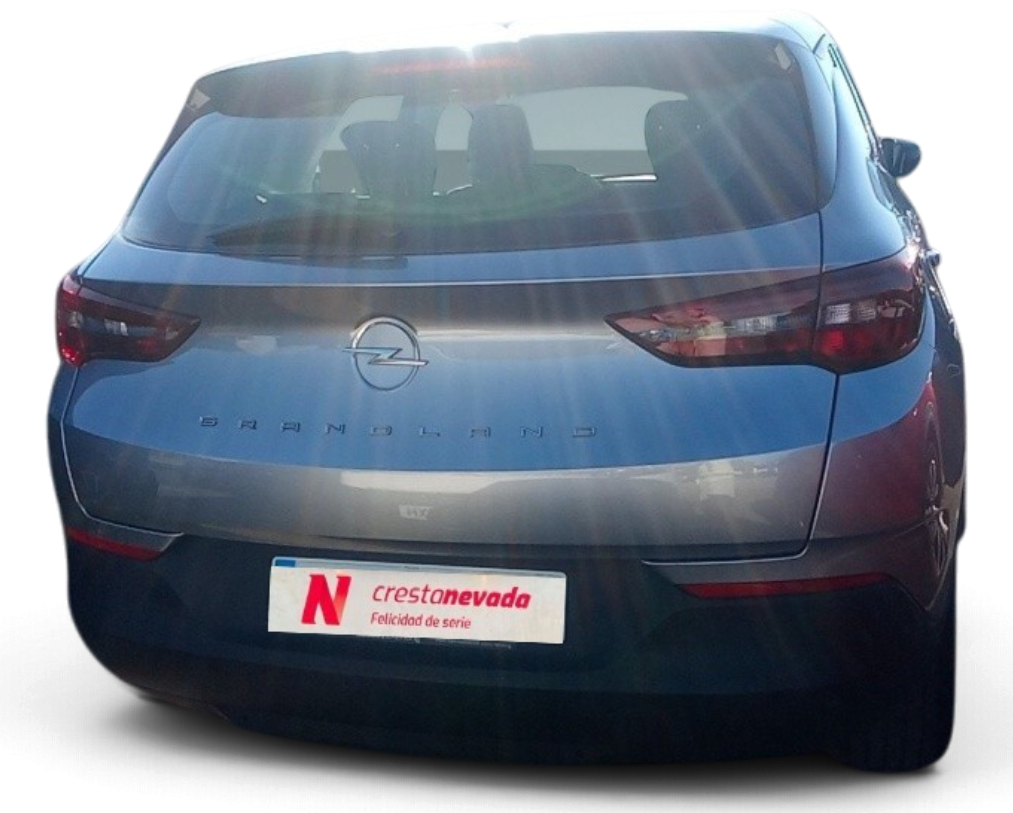 Imagen 5 de Opel Grandland Diesel 131 CV por 16.990 €