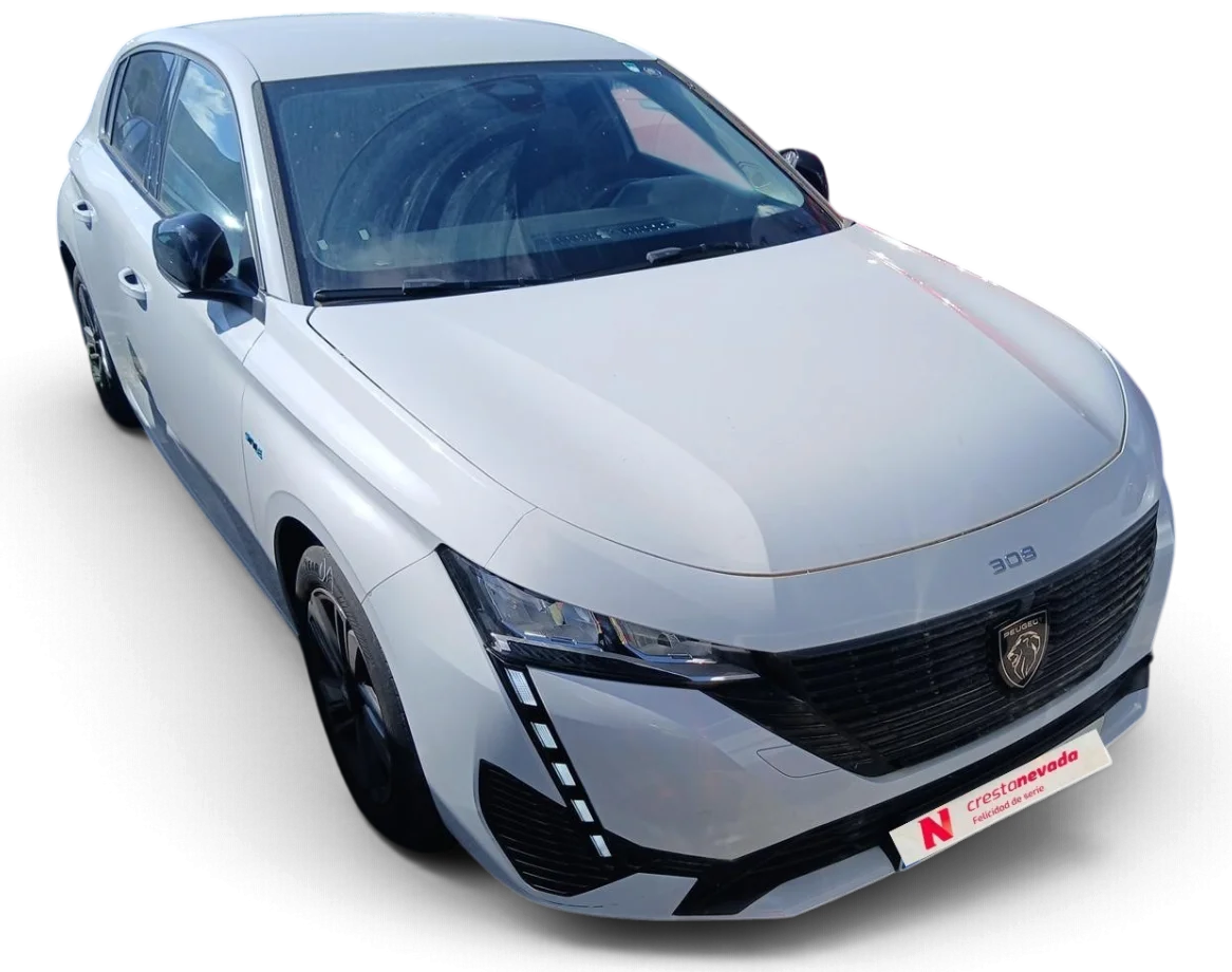 Imagen de Peugeot 308