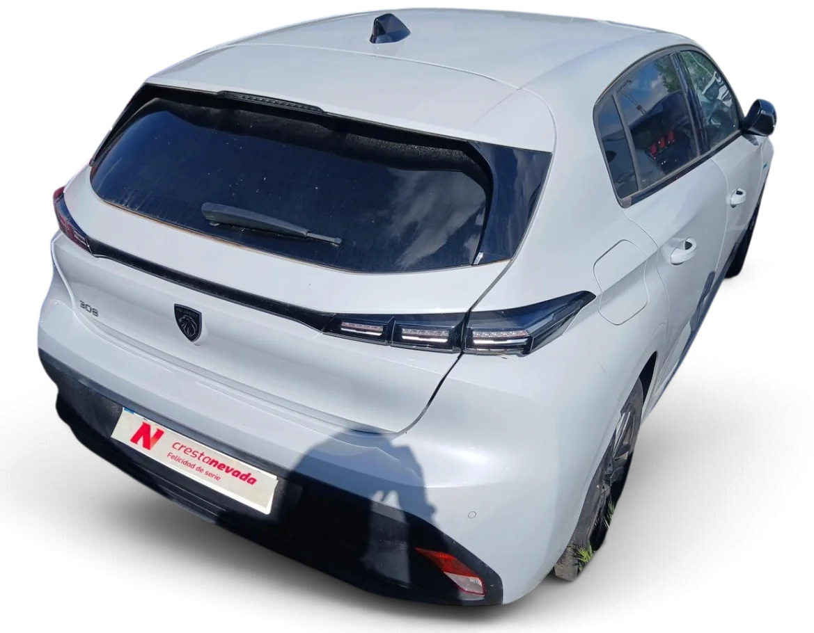 Imagen de Peugeot 308