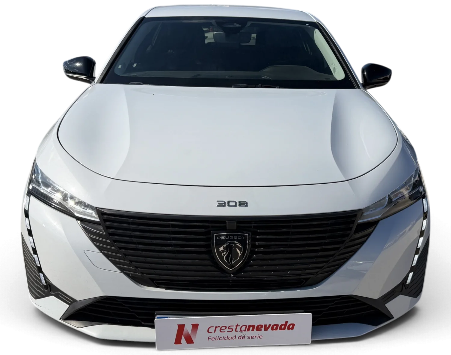 Imagen de Peugeot 308