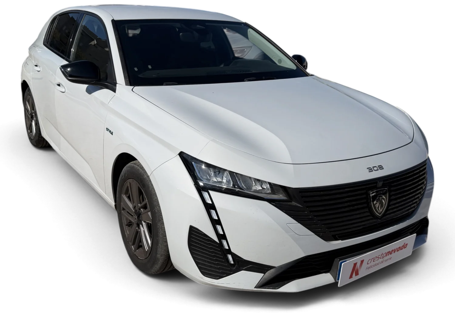 Imagen de Peugeot 308