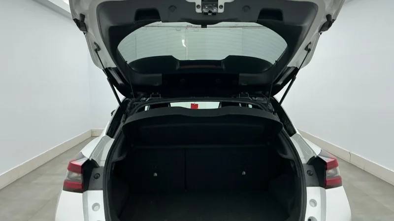 Imagen de NISSAN JUKE