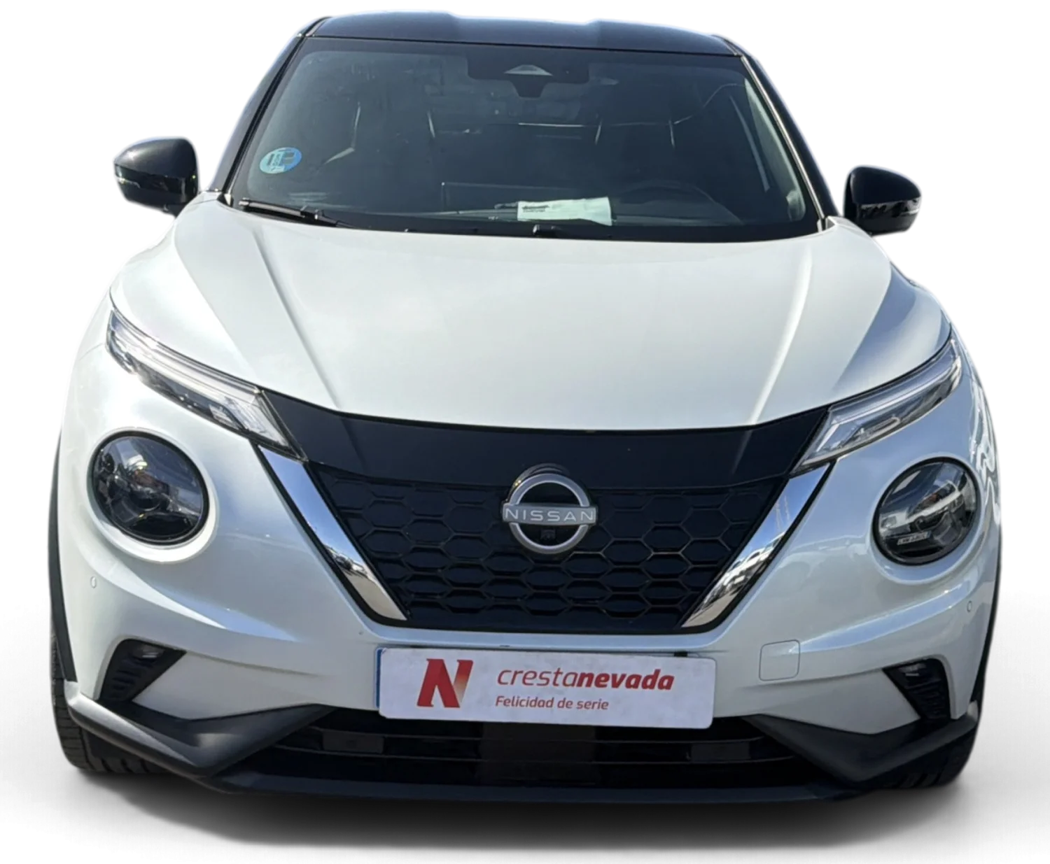 Imagen de NISSAN JUKE
