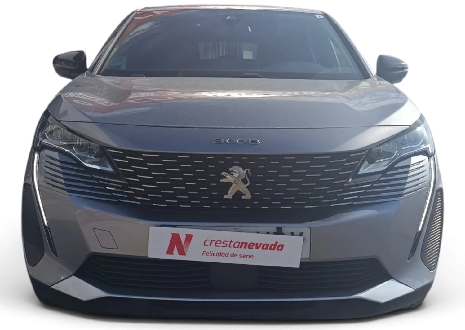 Imagen de Peugeot 3008