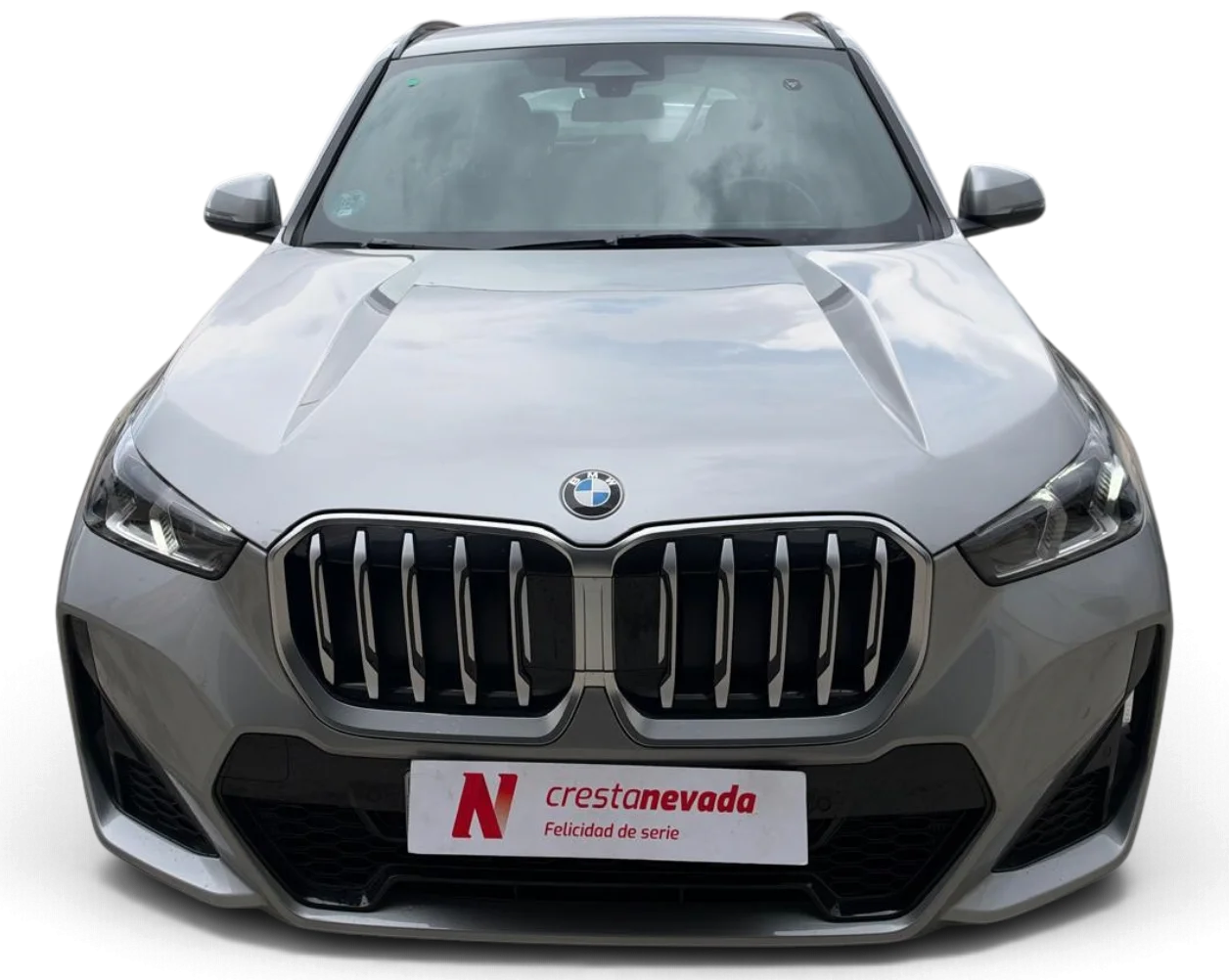 Imagen de BMW X1