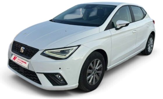 SEAT Ibiza Gasolina 80 CV por 13.990 €