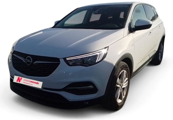 Opel Grandland X Diesel 131 CV por 13.490 €