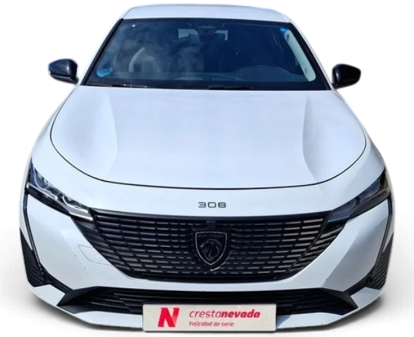 Imagen de Peugeot 308