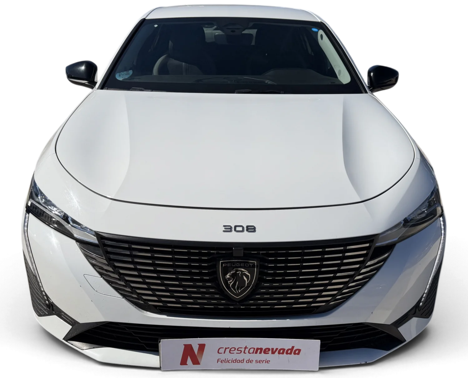 Imagen de Peugeot 308