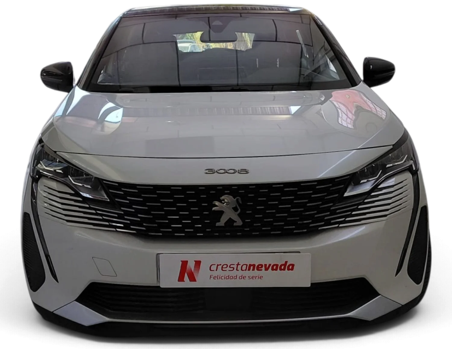 Imagen de Peugeot 3008