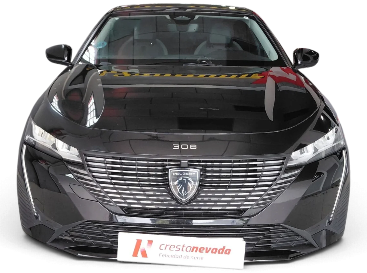 Imagen de Peugeot 308
