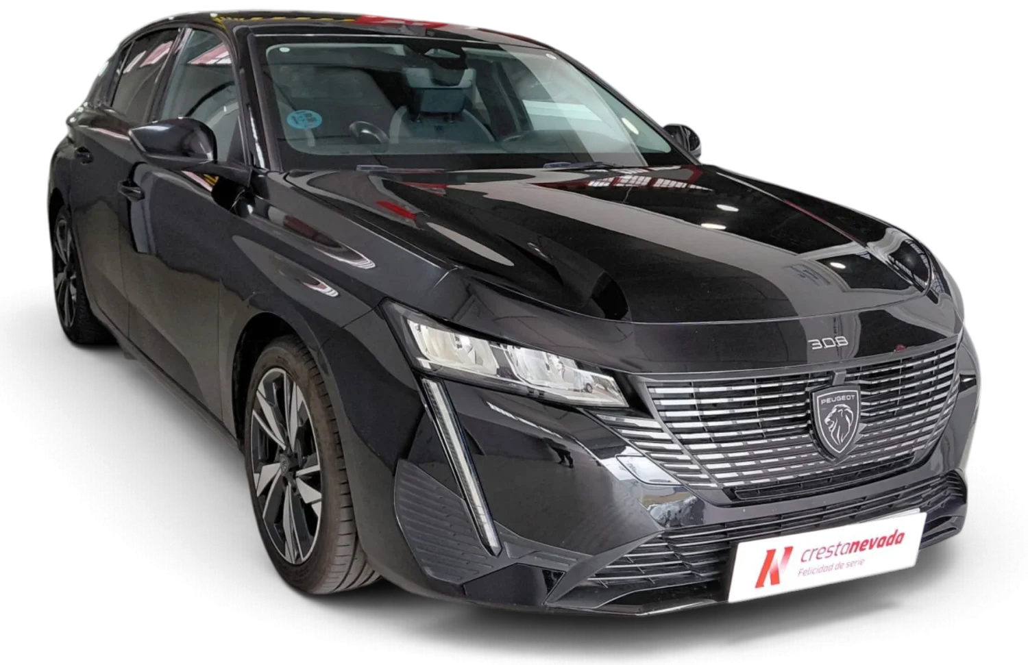 Imagen de Peugeot 308