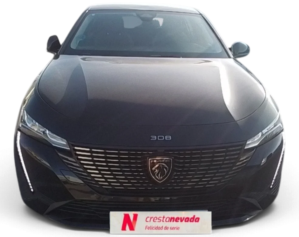 Imagen de Peugeot 308