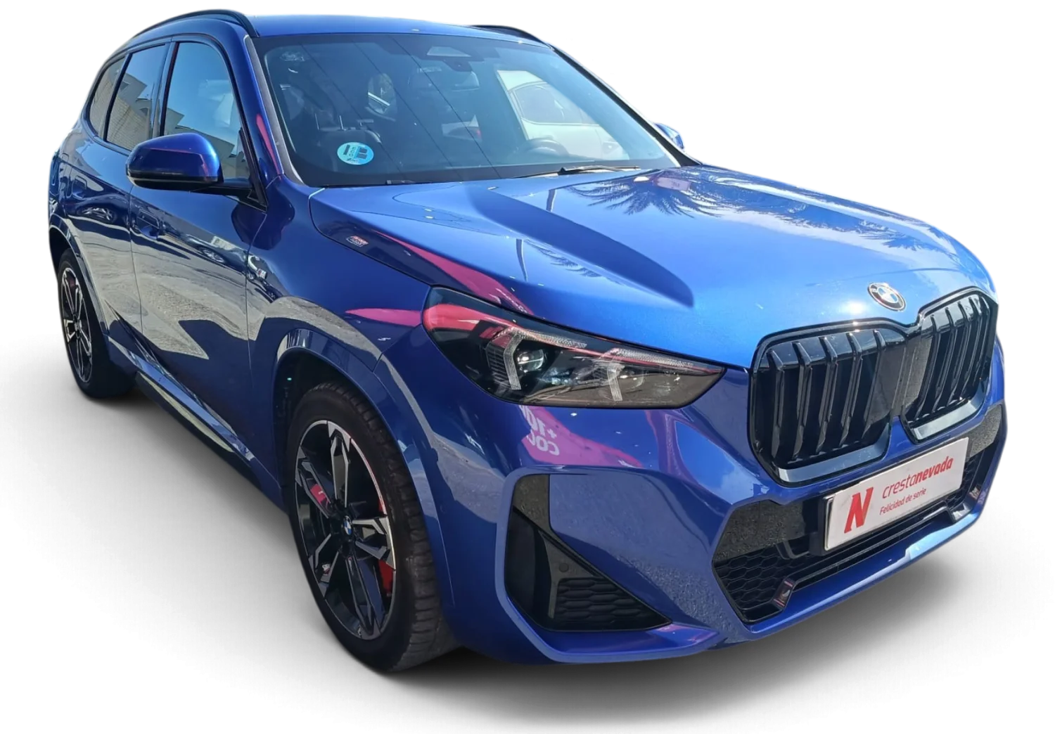 Imagen de BMW X1