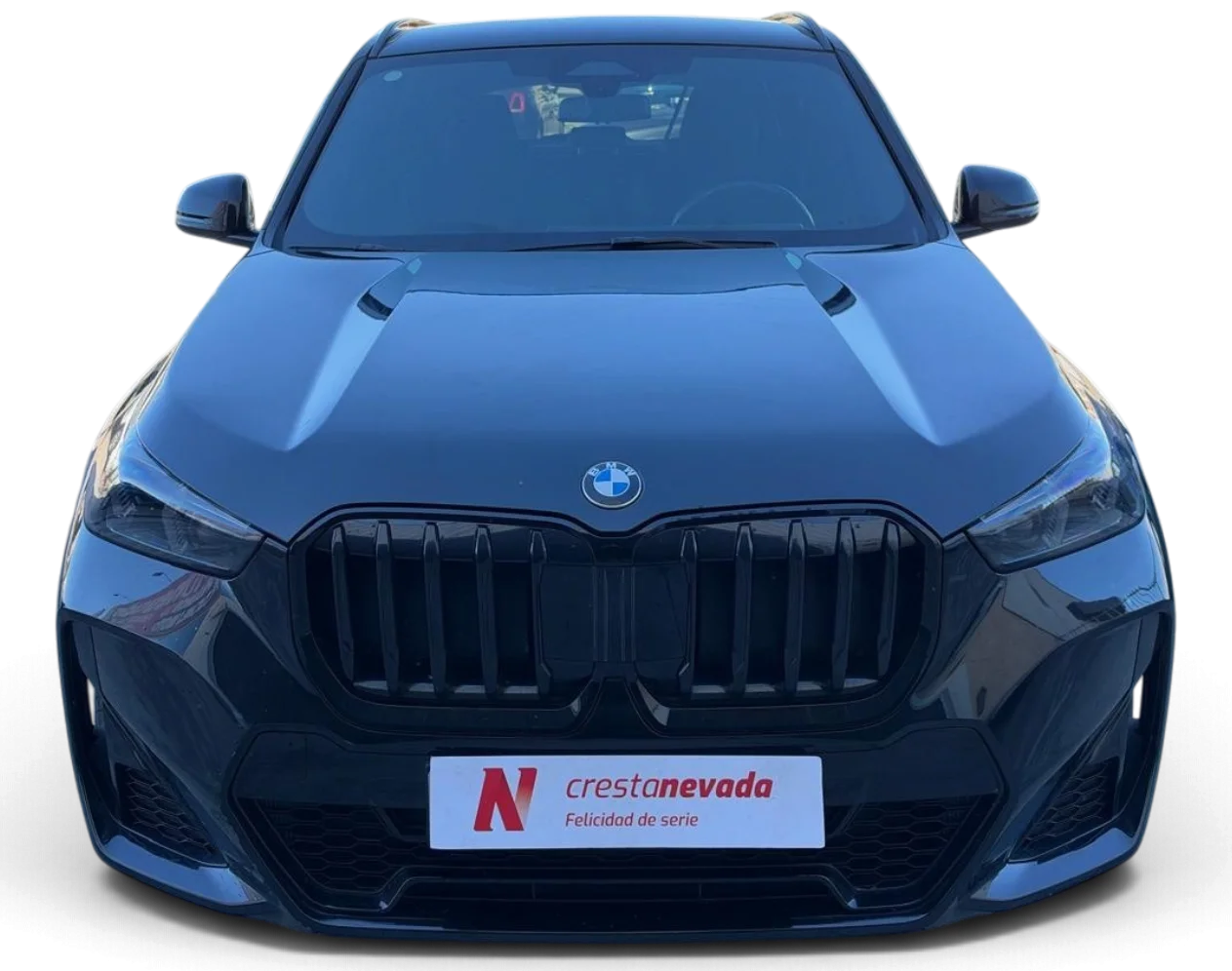 Imagen de BMW X1