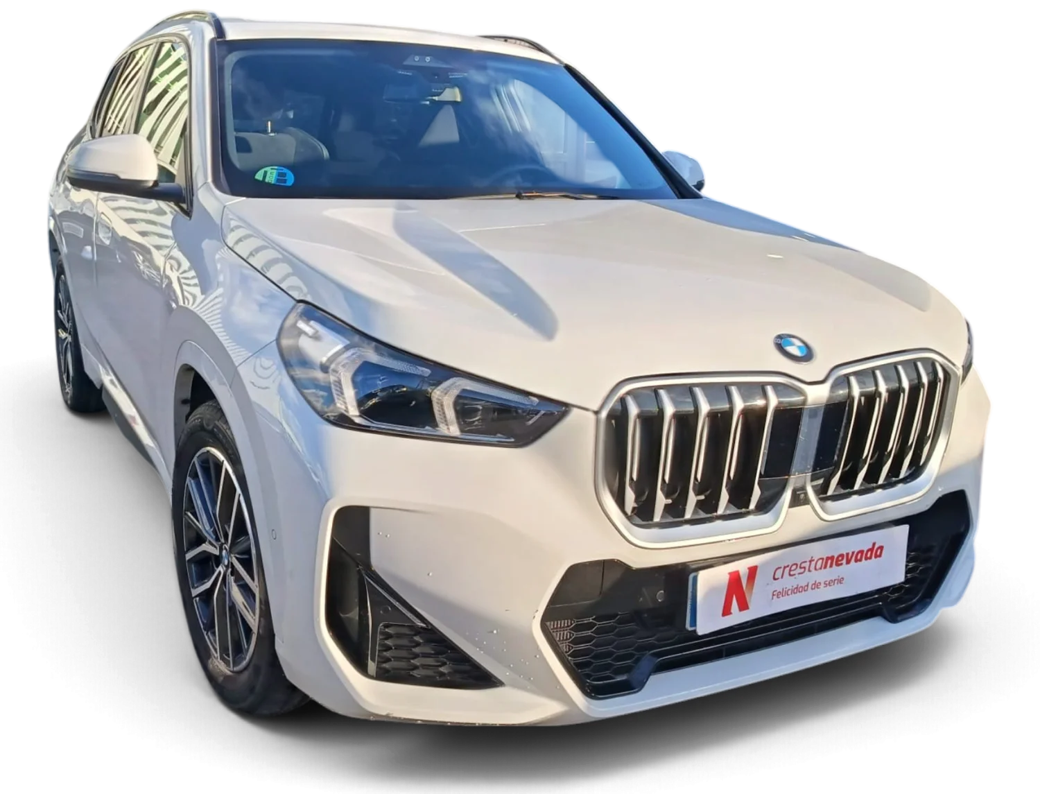 Imagen de BMW X1