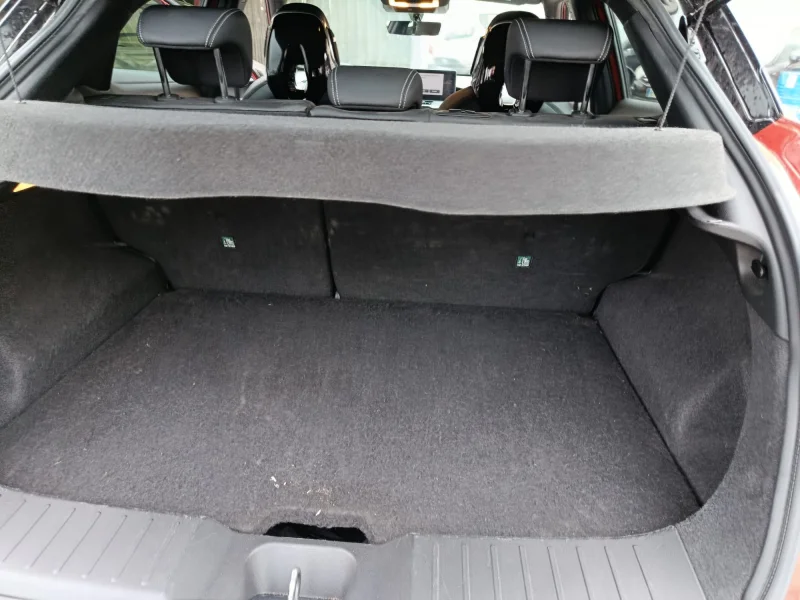 Imagen de NISSAN JUKE